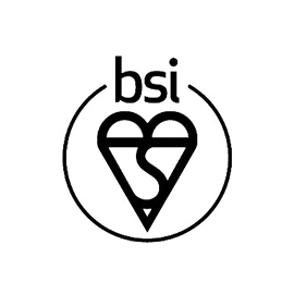 BSI Logo